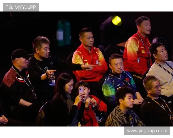 全面解析乒乓球赛事观赛与参赛全攻略助你从入门到高手一步到位